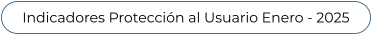 Indicadores Protección al Usuario Enero - 2025