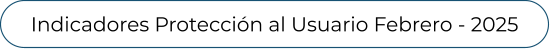 Indicadores Protección al Usuario Febrero - 2025